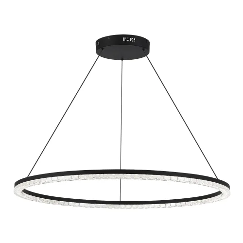 Светильник подвесной LED Euclidics SL1018.413.01 ST-Luce прозрачный на 1 лампу, основание чёрное в стиле хай-тек кольца