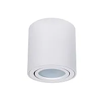 Светильник накладной Beid A1513PL-1WH Arte Lamp белый 1 лампа, основание белое в стиле современный круглый