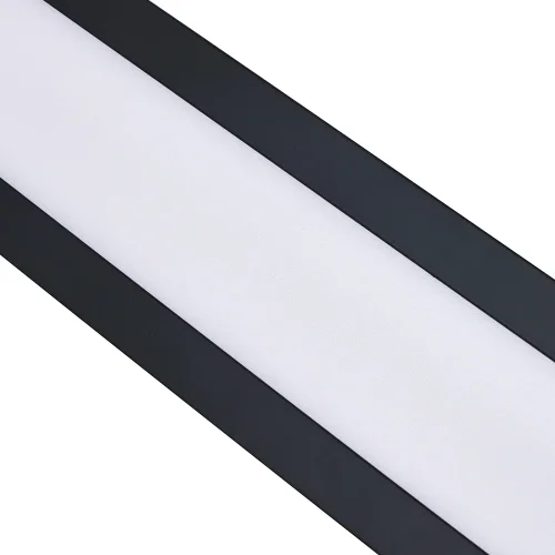 Светильник потолочный LED Meridiem 4004-1W Favourite белый 2 лампы, основание чёрное в стиле современный  фото 7