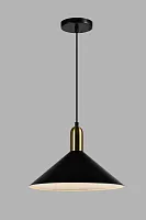 Светильник подвесной Forli V10440-1P Moderli чёрный 1 лампа, основание чёрное в стиле современный лофт 