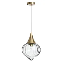Светильник подвесной Kesta 4950/1 Odeon Light прозрачный 1 лампа, основание бронзовое в стиле модерн выдувное