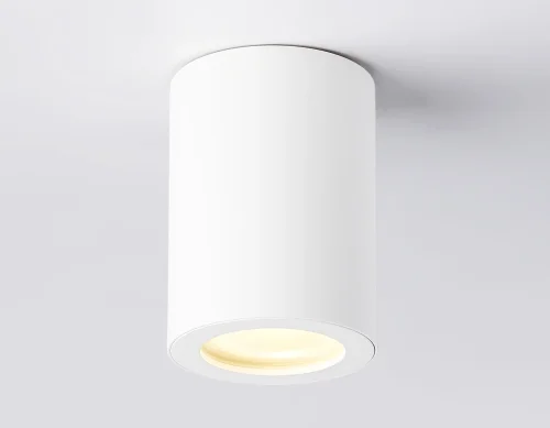 Светильник накладной TN22797 Ambrella light белый 1 лампа, основание белое в стиле хай-тек современный круглый фото 4