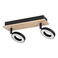 Спот с 2 лампами LED Rielves 901203 Eglo чёрный LED в стиле современный 