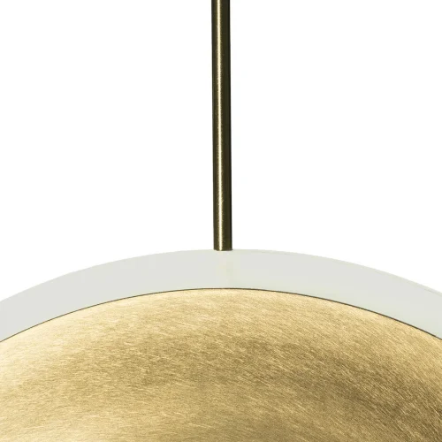 Светильник подвесной LED Ruedo 10035/300 LOFT IT золотой 1 лампа, основание золотое в стиле современный хай-тек  фото 5
