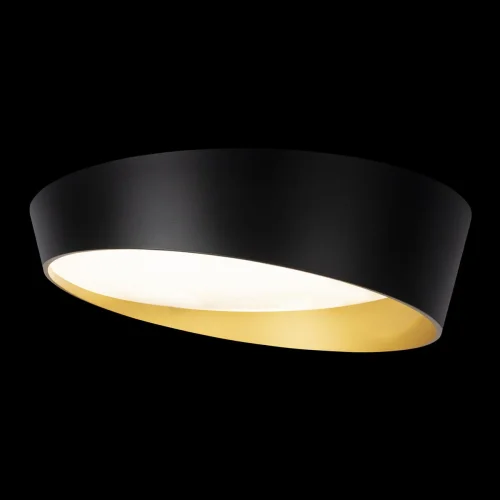 Светильник потолочный LED Coin 10199 Black LOFT IT чёрный белый золотой 1 лампа, основание чёрное в стиле современный  фото 2