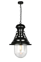 Светильник подвесной лофт Vittoria OML-91606-01 Omnilux прозрачный 1 лампа, основание чёрное в стиле лофт 