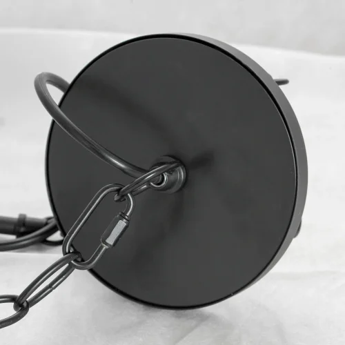 Люстра подвесная Carrollton LSP-8735 Lussole без плафона на 10 ламп, основание чёрное в стиле кантри  фото 6