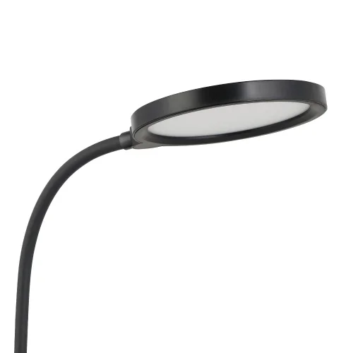 Настольная лампа офисная LED Brolini 900528 Eglo чёрная 1 лампа, основание чёрное полимер в стиле современный  фото 5