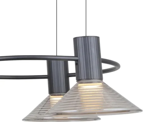 Люстра подвесная LED Feris 4622-5P F-promo прозрачная на 5 ламп, основание чёрное в стиле лофт фото 2
