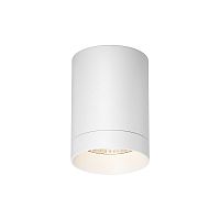 Накладной светильник LED уличный Luxe O500CL-L10W3K Maytoni уличный IP65 белый на 1 лампу, плафон белый в стиле хай-тек современный LED