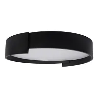 Светильник потолочный LED Coin 10200 Black LOFT IT белый чёрный 1 лампа, основание чёрное в стиле современный 