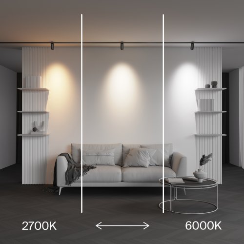 Трековый светильник Фокус Зум / Focus Zoom Exility X (Эксилити Х) 2700-6000K 12Вт 10-45° Dim Dali2 TR244-4-12WTW-DD2-B Maytoni чёрный для шинопроводов серии Трековая система EXILITY X (Эксилити Х) чёрный фото 11