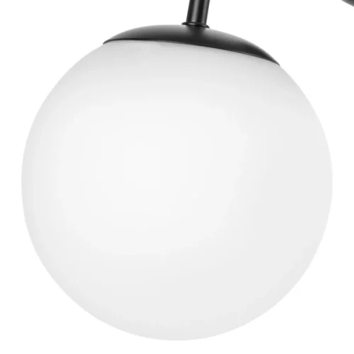 Бра Croco 815537 Lightstar белый на 3 лампы, основание чёрное в стиле современный флористика арт-деко  фото 5