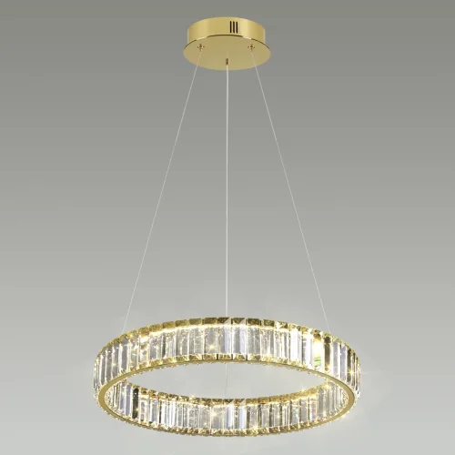 Светильник подвесной LED Vekia 5015/30L Odeon Light прозрачный 1 лампа, основание золотое в стиле современный кольца фото 4