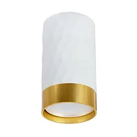 Светильник накладной Fang A5558PL-1WH Arte Lamp белый 1 лампа, основание белое в стиле минимализм модерн круглый