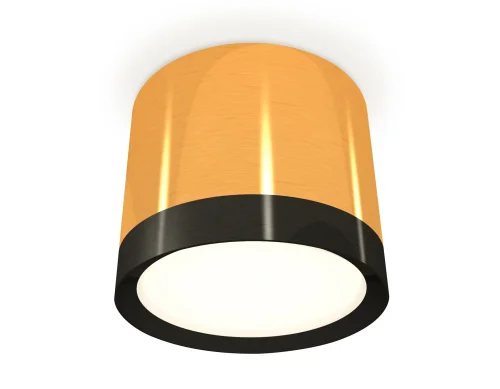 Светильник накладной XS8121001 Ambrella light золотой 1 лампа, основание золотое в стиле хай-тек круглый
