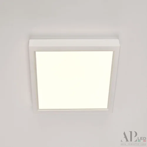 Светильник накладной LED Ingrid 3322.LDF1604M/12W/4K Arte Perfetto Luce белый 1 лампа, основание белое в стиле современный квадратный фото 12