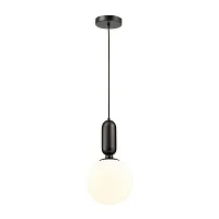Светильник подвесной Okia 4668/1 Odeon Light белый на 1 лампу, основание чёрное в стиле хай-тек современный 