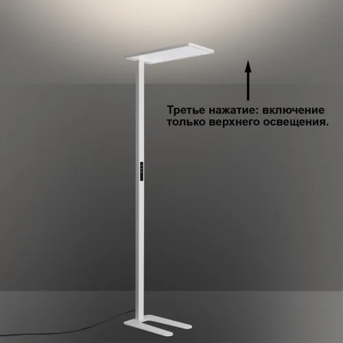 Торшер полного спектра LED DIMM Ledo 359545 Novotech для чтения белый на 1 лампу, основание белое в стиле современный хай-тек минимализм фото 3