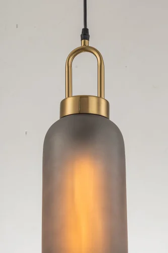 Светильник подвесной Narzole E 1.P2 CL Arti Lampadari серый 1 лампа, основание золотое в стиле современный  фото 2