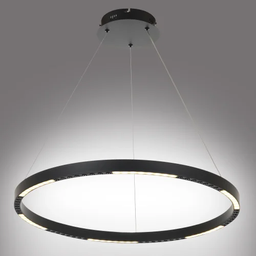 Люстра подвесная LED Lucas MR1250-PL MyFar без плафона на 1 лампа, основание чёрное в стиле современный хай-тек кольца фото 5