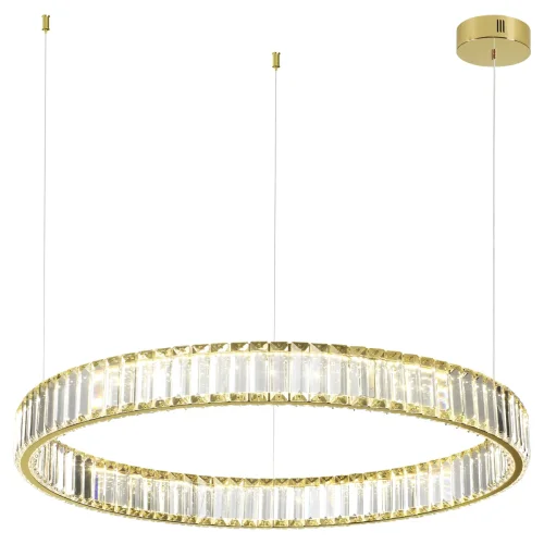 Светильник подвесной LED Vekia 5015/45L Odeon Light прозрачный 1 лампа, основание золотое в стиле современный кольца фото 3