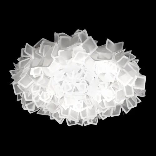 Светильник потолочный LED Clizia 10231/780C White LOFT IT прозрачный 1 лампа, основание белое в стиле современный  фото 2