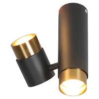 Светильник накладной Gilbert LSP-8378 Lussole чёрный 2 лампы, основание чёрное в стиле современный лофт круглый