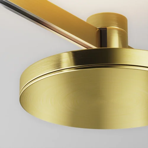 Трековый светильник Plato Flarity 4000K 7Вт 120° TR152-1-7W4K-BS Maytoni латунь для шинопроводов серии Plato латунь фото 2