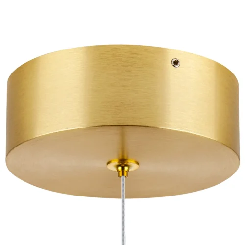 Светильник подвесной LED Colore 805403 Lightstar янтарный 1 лампа, основание золотое в стиле арт-деко  фото 5