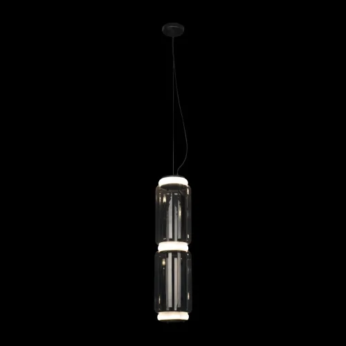 Светильник подвесной LED Noctambule 10194/M LOFT IT прозрачный 1 лампа, основание чёрное в стиле современный  фото 2