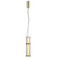Светильник подвесной LED Bones 4244-2P Favourite янтарный 1 лампа, основание матовое бронза в стиле современный 