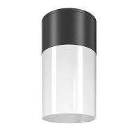 Накладной светильник Willis O418CL-01B Maytoni уличный IP54 чёрный 1 лампа, плафон белый в стиле современный E27