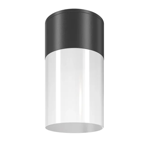 Накладной светильник Willis O418CL-01B Maytoni уличный IP54 чёрный 1 лампа, плафон белый в стиле современный E27