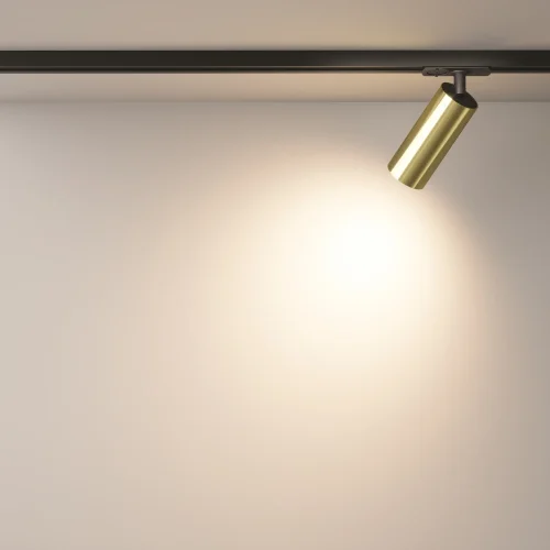 Трековый светильник LED Single phase track system Unity TR021-1-12W3K-W-BBS Maytoni латунь для шинопроводов серии Single phase track system Unity чёрный латунь фото 16
