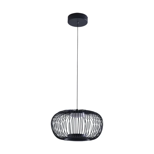 Светильник подвесной LED Flare A3527SP-12BK Arte Lamp чёрный на 1 лампу, основание чёрное в стиле хай-тек современный 