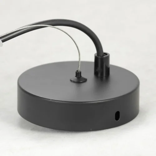 Светильник подвесной Bullock LSP-8408 Lussole чёрный 1 лампа, основание чёрное в стиле лофт  фото 4