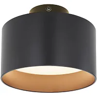 Светильник накладной LED Jenny 12016B Globo чёрный 1 лампа, основание чёрное в стиле современный круглый