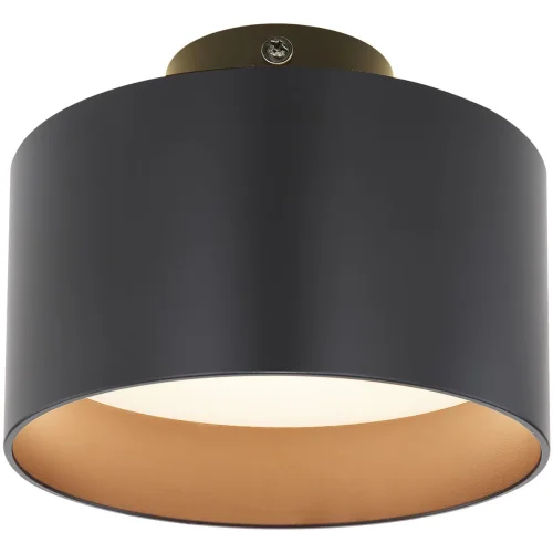 Светильник накладной LED Jenny 12016B Globo чёрный 1 лампа, основание чёрное в стиле современный круглый