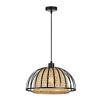 Светильник подвесной Woodstock A7071SP-1BK Arte Lamp коричневый чёрный на 1 лампу, основание чёрное в стиле кантри лофт современный 