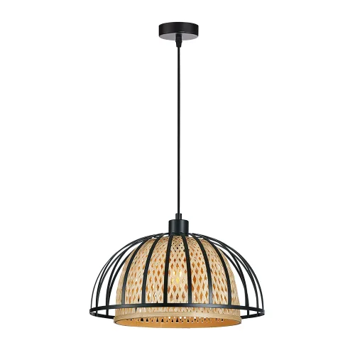 Светильник подвесной Woodstock A7071SP-1BK Arte Lamp коричневый чёрный на 1 лампу, основание чёрное в стиле лофт современный кантри 