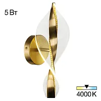 Бра LED Vind CL214311 Citilux прозрачный на 1 лампу, основание бронзовое в стиле современный 