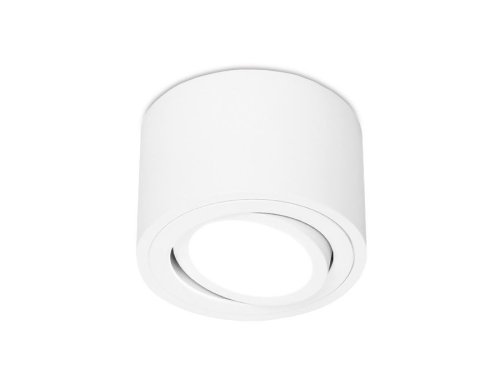 Светильник накладной TN222 Ambrella light белый 1 лампа, основание белое в стиле современный круглый