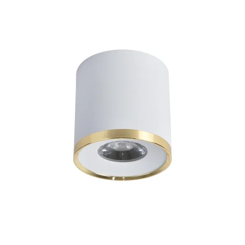 Светильник накладной LED Prakash 3085-2C Favourite белый 1 лампа, основание белое в стиле современный круглый фото 2