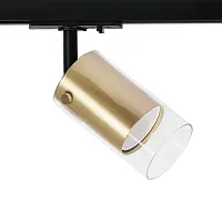 Трековый светильник Lazio A5368PL-1SG Arte Lamp прозрачный золотой для шинопроводов серии Lazio золотой