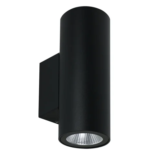 Настенный светильник уличный LED Torcular A1807AL-2BK Arte Lamp уличный IP65 чёрный на 2 лампы, плафон чёрный в стиле современный LED