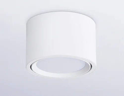 Светильник накладной TN6805 Ambrella light белый 1 лампа, основание белое в стиле современный хай-тек круглый фото 2