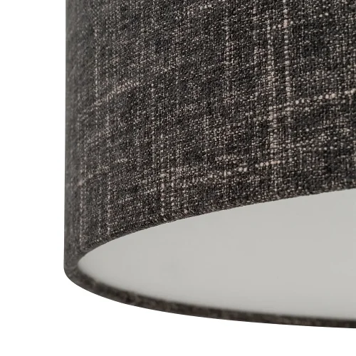 Светильник потолочный Santana M 11658-NW Nowodvorski чёрный на 1 лампу, основание коричневое в стиле лофт фото 6