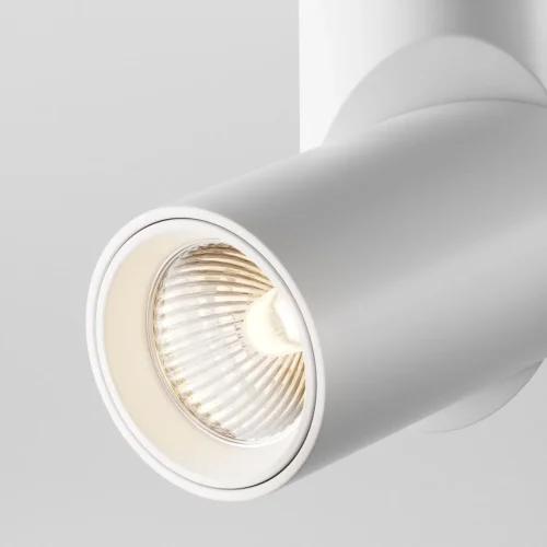 Светильник накладной LED Dafne C027CL-L10W Maytoni белый 1 лампа, основание белое в стиле современный круглый фото 2
