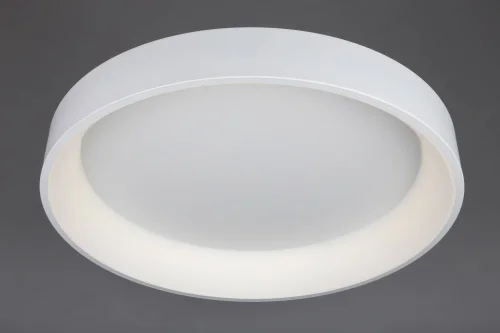 Люстра с пультом LED Ortueri OML-48507-96 Omnilux белая на 1 лампу, основание белое в стиле хай-тек с пультом фото 2